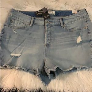 Plus size shorts